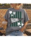 Falcons Flag with Stripes
